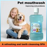 Pet Teeth Cleaning Water Supplier - Mild Eco-Friendly Oral Liquid
