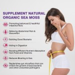 草本瘦身液体滴剂生产厂家 - 厂家生产有机减重新陈代谢