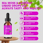 维生素C海苔滴剂生产厂家 - 可定制OEM ODM有机体重管理能量