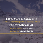 夏尔吉片供应商 - 批发价200毫克纯树脂肌肤活力