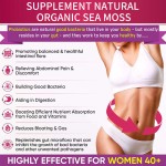 瘦身饮供应商 - 专业定制私标绿茶排毒消化新陈代谢