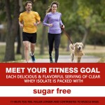 透明乳清蛋白粉生产厂家 - 可定制分离运动营养肌肉恢复