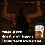 一水肌酸粉生产厂家 - 可定制无味爆发力肌肉