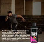 L-肉碱口服液生产厂家 - 批发私标蓝覆盆子肌肉专注