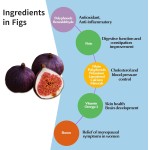 无花果胶原蛋白果冻供应商 - 女性私标草本肌肤脑抗氧化