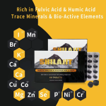 夏尔吉片供应商 - 批发价200毫克纯树脂肌肤活力