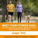 乳清分离蛋白粉生产厂家 - 可定制OEM ODM无糖维生素D钙