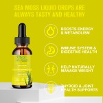 海苔液体滴剂供应商 - 高级牛蒡根甲状腺免疫排毒纯素