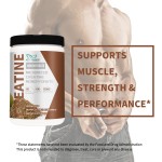 肌酸盐酸盐营养品供应商 - 批发有机组间恢复肌肉