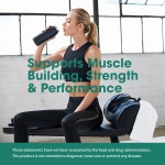 肌酸盐酸盐营养品生产厂家 - 定制有机组间恢复肌肉