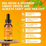 海苔液体滴剂生产厂家 - 高级黑籽油南非醉茄免疫肌肤