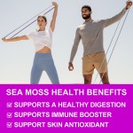 维生素C海苔滴剂生产厂家 - 优质有机体重管理能量