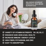 海苔滴剂生产厂家 - 低价有机爱尔兰体重管理能量