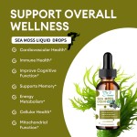 维生素C海苔滴剂供应商 - 可定制OEM ODM有机体重管理能量