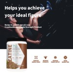 肌酸盐酸盐营养品供应商 - 批发有机组间恢复肌肉