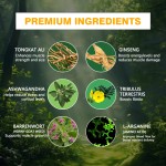 南非醉茄提取物胶囊生产厂家 - 供应商工厂人参男性力量能量