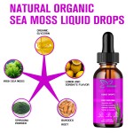 维生素C海苔滴剂生产厂家 - 优质有机体重管理能量