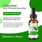 海苔液体滴剂生产厂家 - 7合1接骨木黑籽免疫肌肤