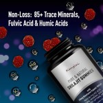 夏尔吉软糖生产厂家 - 可定制OEM ODM喜马拉雅提取脑健康