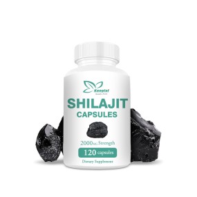 Shilajit Capsule Manufacturer - Wholesale Price 2000mg Strength Immunity Aging