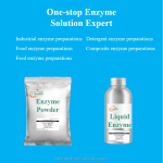 Laccase Enzyme Powder Supplier - Oxidase for Phenols Lignin Oxidation