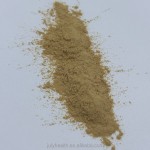 Cinnamon Extract Factory - 10:1-20:1 Ceylon Bark Powder