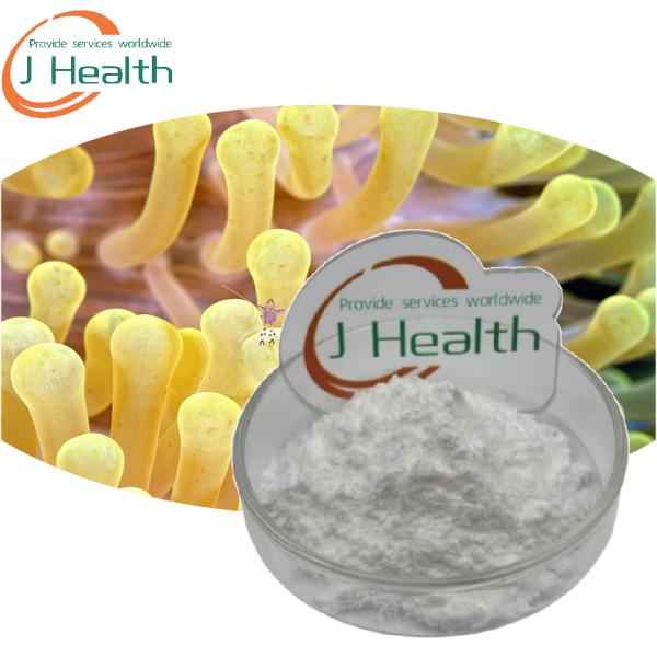 Lactobacillus Rhamnosus Powder Manufacturer - GG Strain Health Supplement