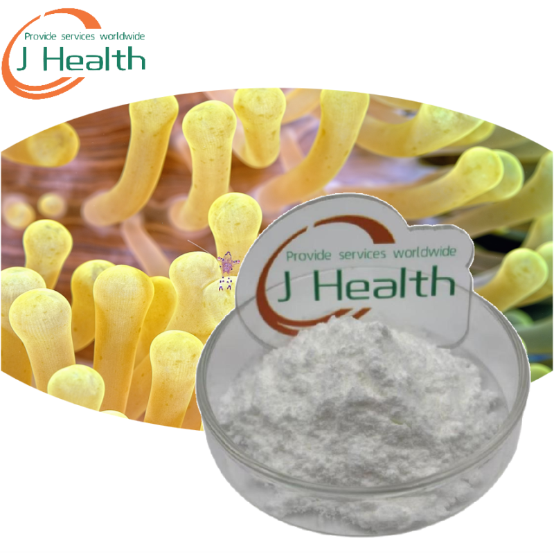 Lactobacillus Rhamnosus Powder Manufacturer - GG Strain Health Supplement