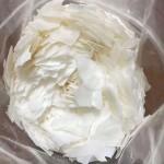 Olive Wax Manufacturer - Natural Plant Derived Emulsifying Wax