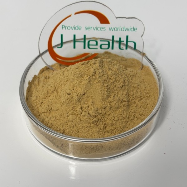 Alternanthera Extract Supplier - Pure Red Sessile Joyweed Powder