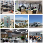 Gardenia Blue Powder Manufacturer - Wholesale Natural Food Pigment Extract