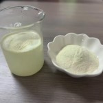 Urolithin A Powder Manufacturer - 99% High Purity Fermentation