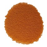 Brine Shrimp Eggs Factory - Shell Free Decapsulated Artemia Cysts