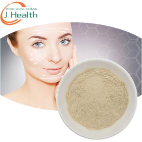 Urolithin A Powder Manufacturer - 99% High Purity Fermentation