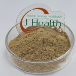 Cinnamon Extract Factory - 10:1-20:1 Ceylon Bark Powder