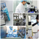 BCAA Powder Supplier - Natural Muscle Strength Performance Enhancer