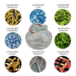 Probiotics Powder Factory - Food Grade Freeze-Dried Lactobacillus