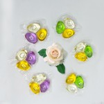 洗衣豆供应商 - 定制批发环保清新香味3合1