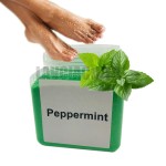 足部护理套装供应商 - 有机纯素零残忍芦荟