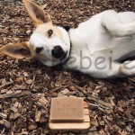 宠物皂厂家 - 手工蜂胶防虫除臭