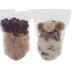 足浴厂家 - 植物精油矿物盐去角质