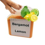 足部护理套装供应商 - 有机纯素零残忍芦荟