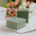 宠物香波供应商 - 环保小动物免费礼品