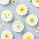 Shower Steamer Manufacturer - Body Refresh Home Spa Essential Oil