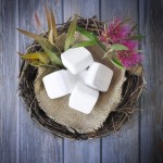 马桶清洁剂供应商 - 泡腾片浴室用批发