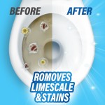 马桶清洁块供应商 - 2件装50克固体自动除臭一次性