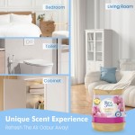 Plastic Air Freshener Factory - 200g Sparkling Lemon Home Office Hotels Cars