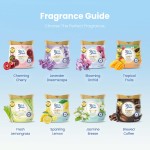 香味空气清新剂生产厂家 - 盛开花兰200克35天家居办公