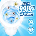 马桶清洁产品生产厂家 - 马桶清洁片去除黄渍