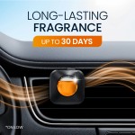 汽车香水供应商 - 4毫升舒适夏威夷精油持久扩散